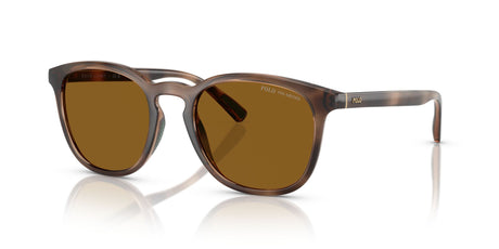 Polo 0PH4222U 500383 52 Shiny Dark Havana / Dark Polar Brown  Polarised