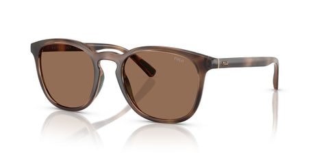 Polo 0PH4222U 597473 52 Shiny Dark Havana / Dark Brown