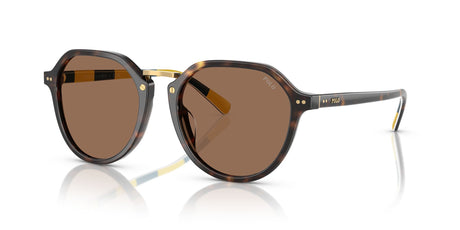 Polo 0PH4223U 500373 53 Shiny Dark Havana / Dark Brown