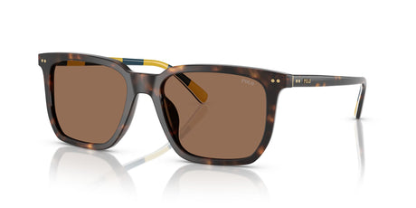 Polo 0PH4224F 500373 55 Shiny Dark Havana / Dark Brown