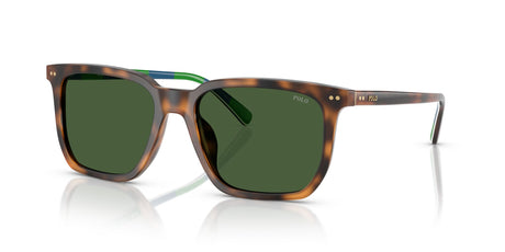 Polo 0PH4224F 608971 55 Shiny Red Havana / Bottle Green
