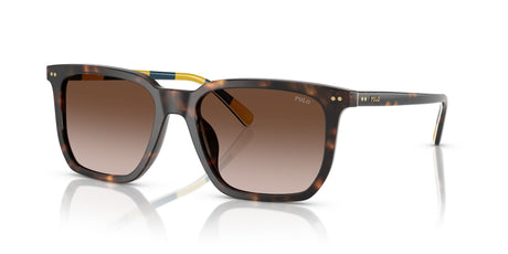 Polo 0PH4224U 500313 55 Shiny Dark Havana / Gradient Dark Brown