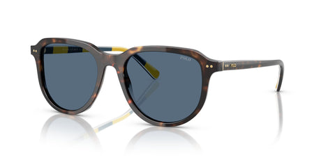 Polo 0PH4225 500380 53 Shiny Dark Havana / Dark Blue