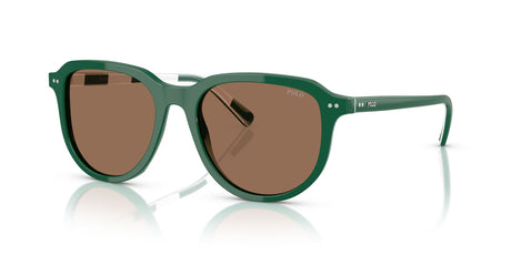 Polo 0PH4225 542173 53 Shiny Dark Green / Dark Brown