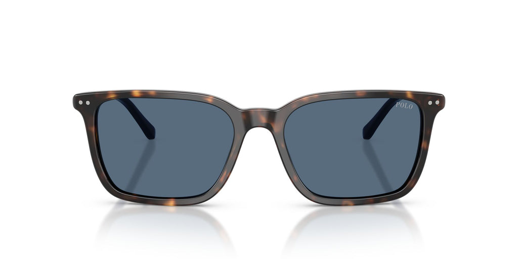Polo 0PH4226 500380 56 Shiny Havana / Dark Blue