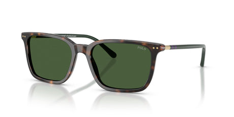 Polo 0PH4226 567371 56 Shiny Dark Havana / Bottle Green
