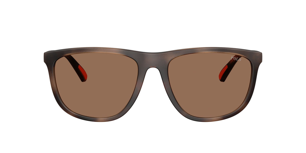 Polo Ralph Lauren 0PH4231U 597473 57 Matte Dark Havana/ Dark Brown