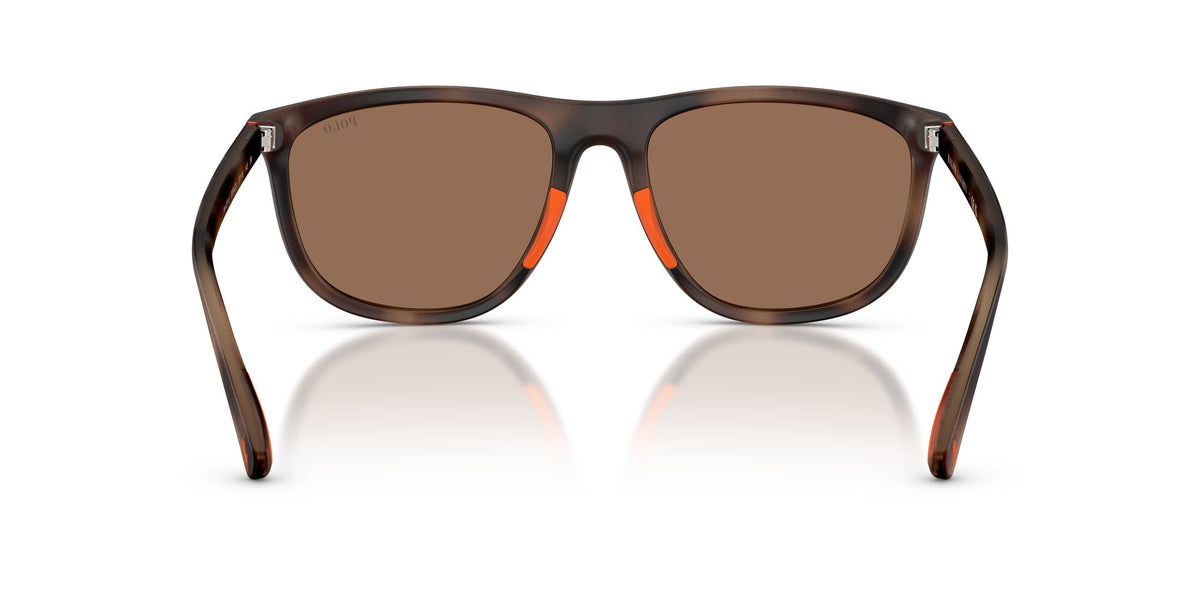 Polo Ralph Lauren 0PH4231U 597473 57 Matte Dark Havana/ Dark Brown