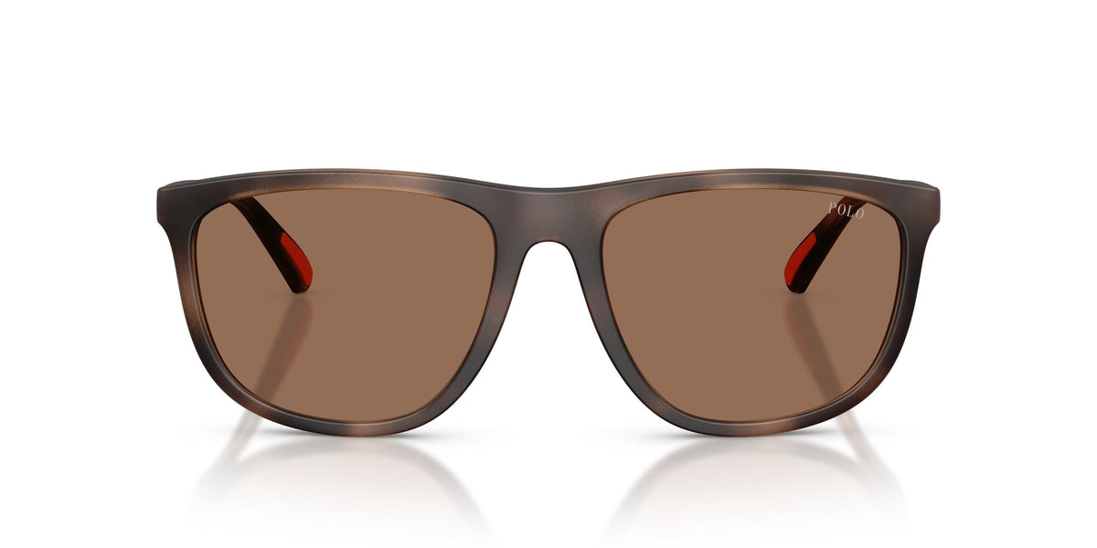 Polo Ralph Lauren 0PH4231U 597473 57 Matte Dark Havana/ Dark Brown