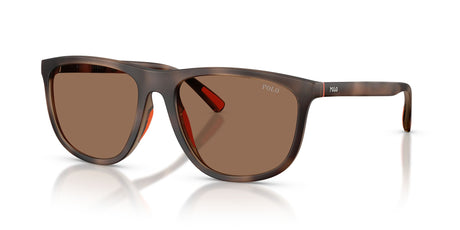 Polo Ralph Lauren 0PH4231U 597473 57 Matte Dark Havana/ Dark Brown