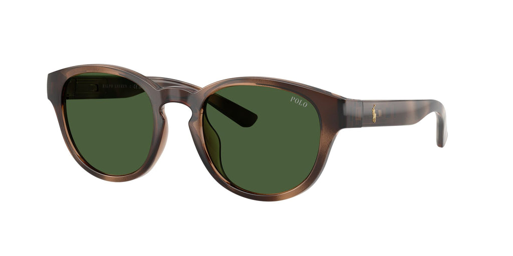Polo Ralph Lauren 0PH4233U 607071 51 Shiny Dark Havana/ Bottle Green