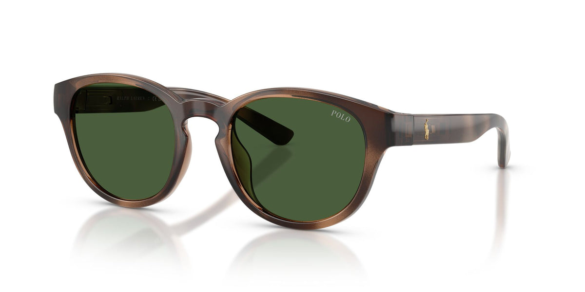 Polo Ralph Lauren 0PH4233U 607071 51 Shiny Dark Havana/ Bottle Green