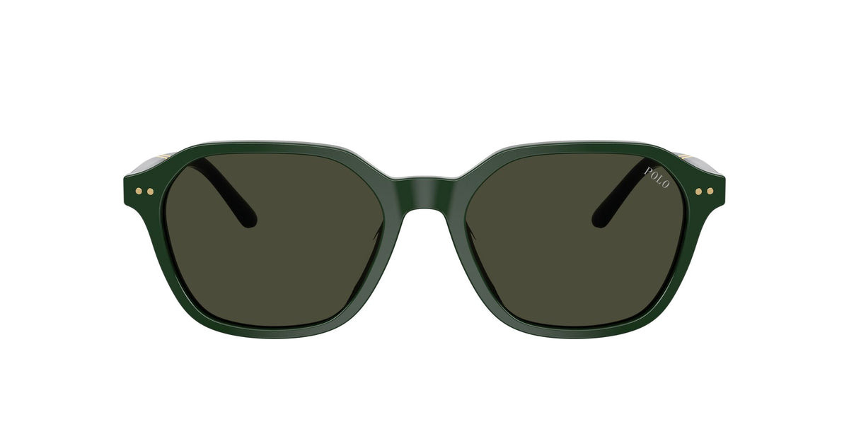 Polo Ralph Lauren 0PH4234U 614082 54 Shiny Green/ Brown