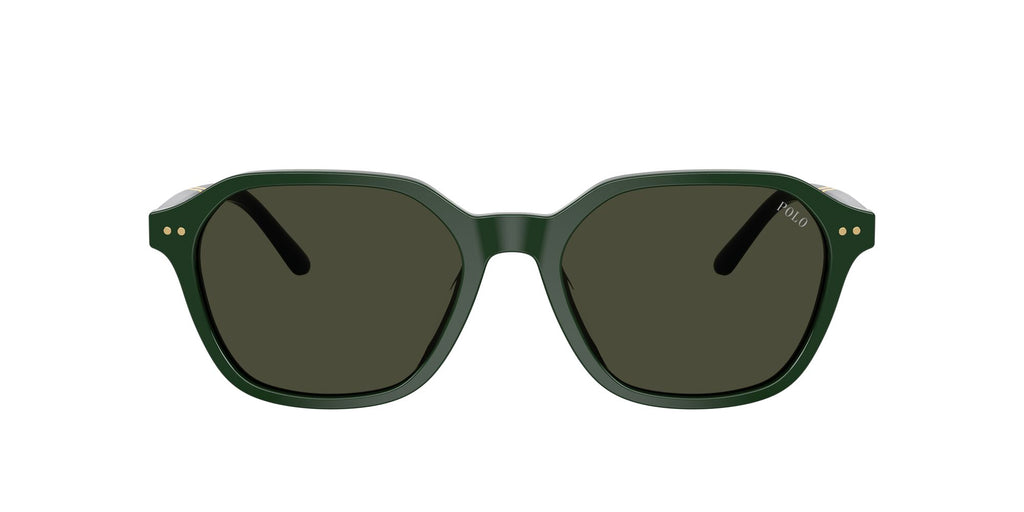 Polo Ralph Lauren 0PH4234U 614082 54 Shiny Green/ Brown