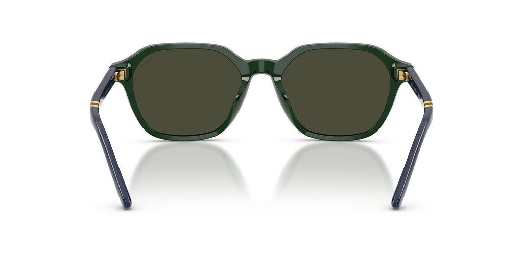 Polo Ralph Lauren 0PH4234U 614082 54 Shiny Green/ Brown