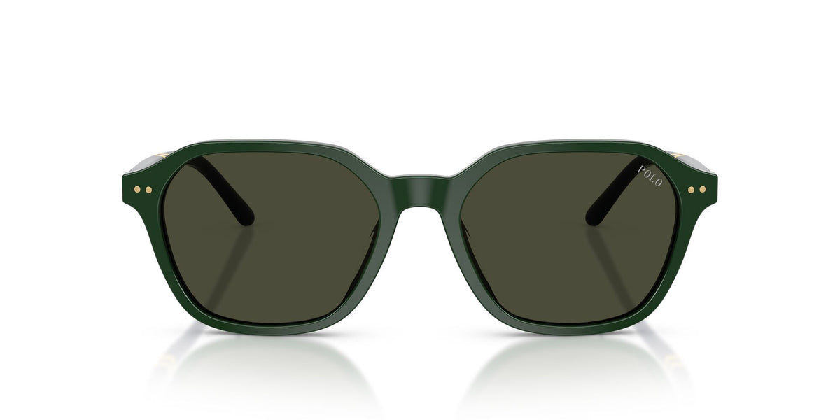 Polo Ralph Lauren 0PH4234U 614082 54 Shiny Green/ Brown