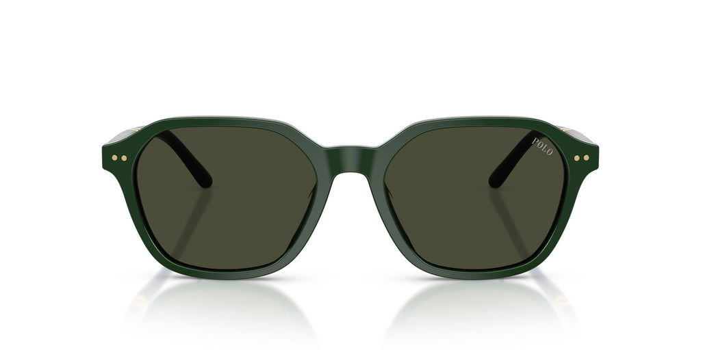 Polo Ralph Lauren 0PH4234U 614082 54 Shiny Green/ Brown