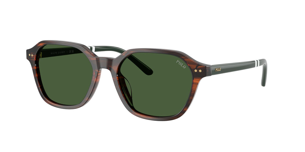 Polo Ralph Lauren 0PH4234U 631571 54 Shiny Striped Brown/ Bottle Green