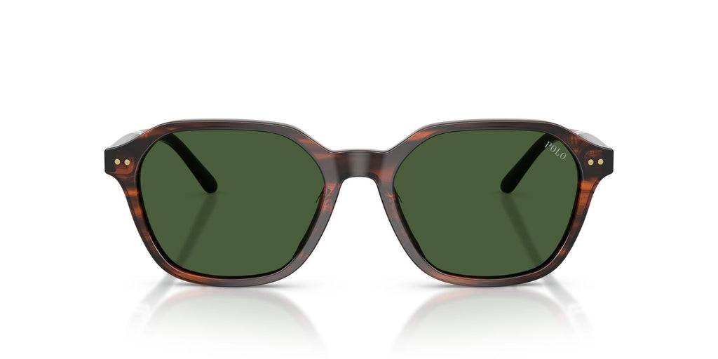 Polo Ralph Lauren 0PH4234U 631571 54 Shiny Striped Brown/ Bottle Green