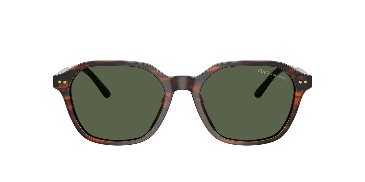 Polo Ralph Lauren 0PH4234U 63159A 54 Shiny Havana/ Polar Green