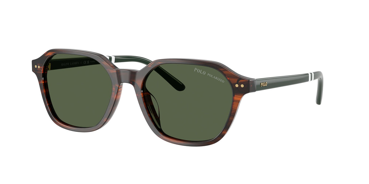 Polo Ralph Lauren 0PH4234U 63159A 54 Shiny Havana/ Polar Green