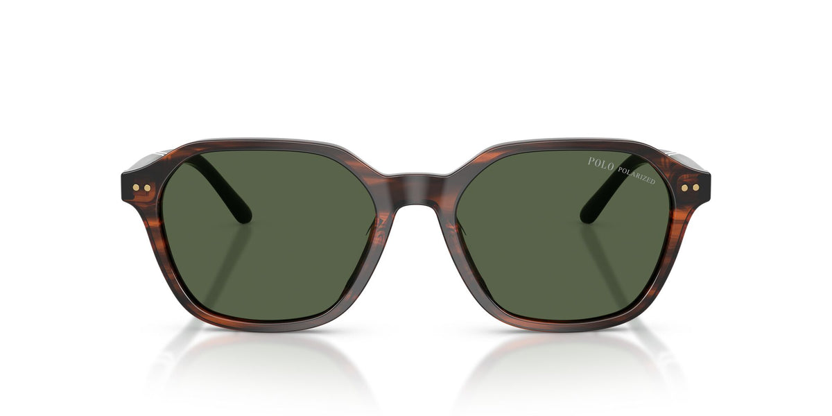 Polo Ralph Lauren 0PH4234U 63159A 54 Shiny Havana/ Polar Green