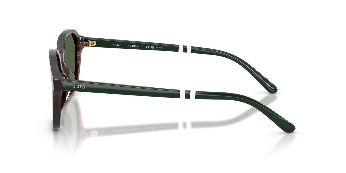 Polo Ralph Lauren 0PH4234U 63159A 54 Shiny Havana/ Polar Green