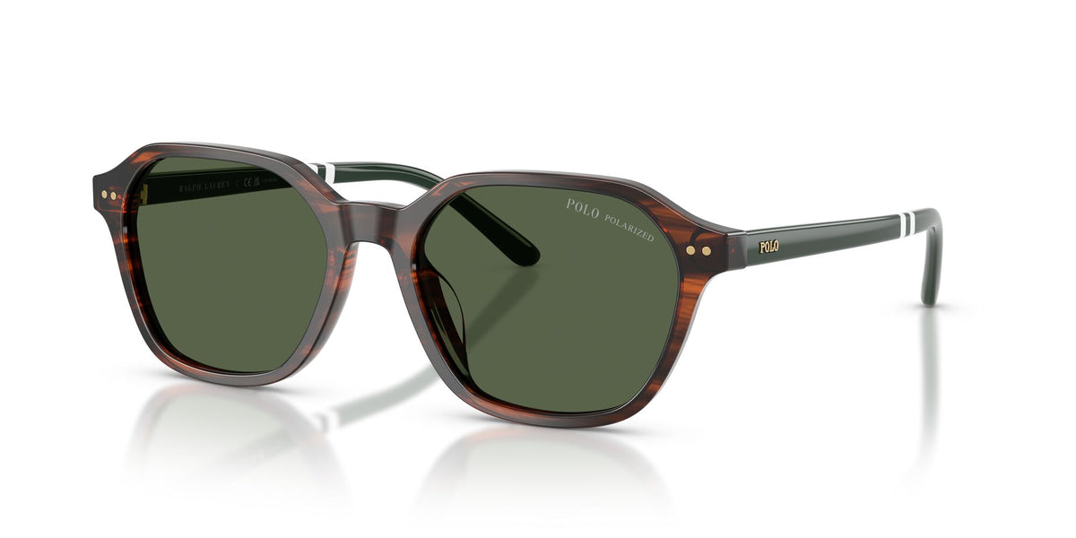 Polo Ralph Lauren 0PH4234U 63159A 54 Shiny Havana/ Polar Green