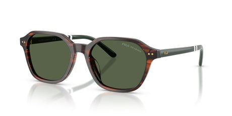 Polo Ralph Lauren 0PH4234U 63159A 54 Shiny Havana/ Polar Green