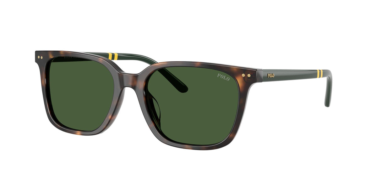 Polo Ralph Lauren 0PH4235U 500371 54 Shiny Dark Havana/ Bottle Green