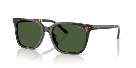 Polo Ralph Lauren 0PH4235U 500371 54 Shiny Dark Havana/ Bottle Green