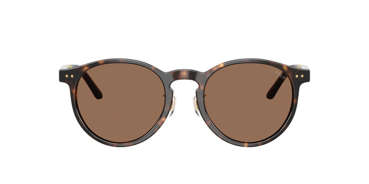 Polo Ralph Lauren 0PH4236F 500373 50 Shiny Dark Havana/ Brown