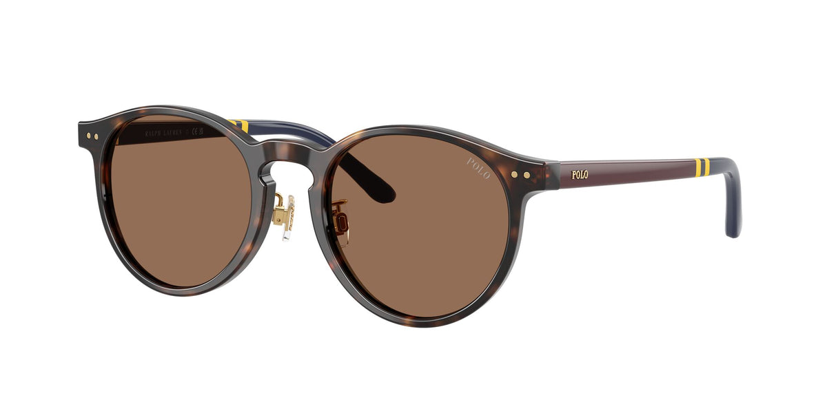 Polo Ralph Lauren 0PH4236F 500373 50 Shiny Dark Havana/ Brown