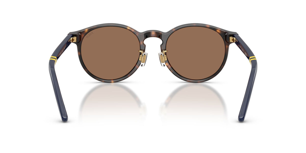 Polo Ralph Lauren 0PH4236F 500373 50 Shiny Dark Havana/ Brown