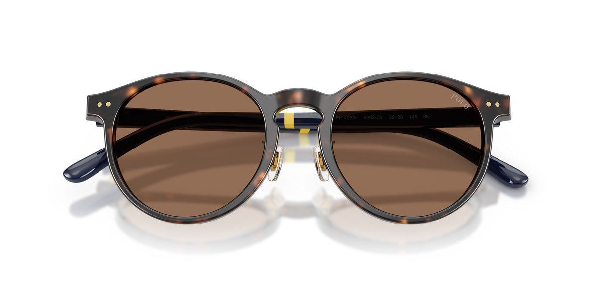 Polo Ralph Lauren 0PH4236F 500373 50 Shiny Dark Havana/ Brown