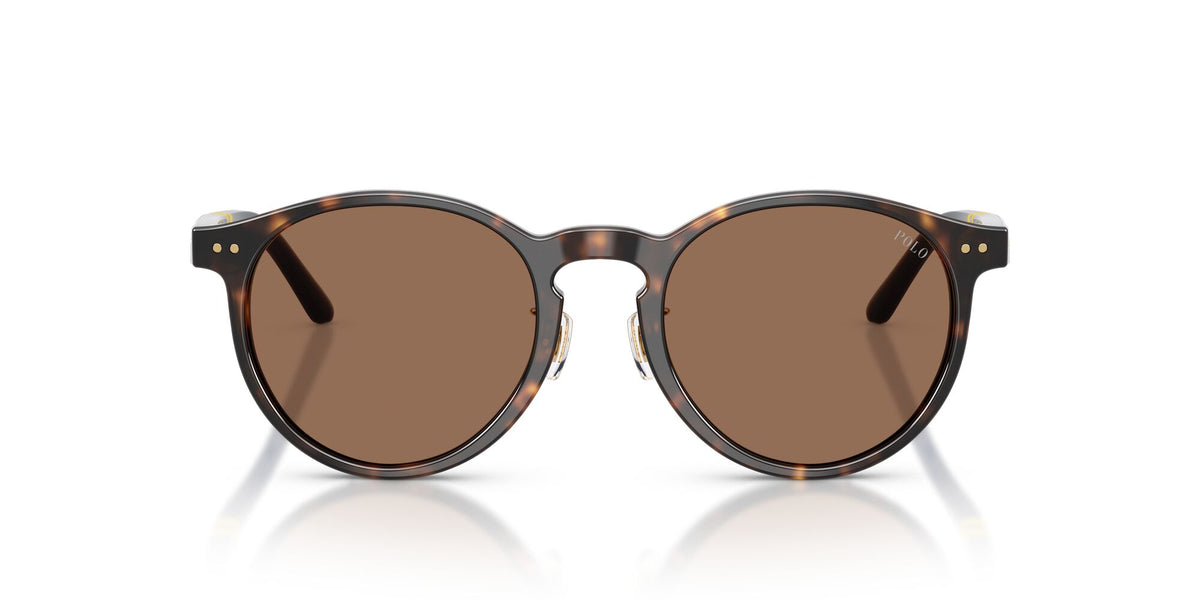 Polo Ralph Lauren 0PH4236F 500373 50 Shiny Dark Havana/ Brown