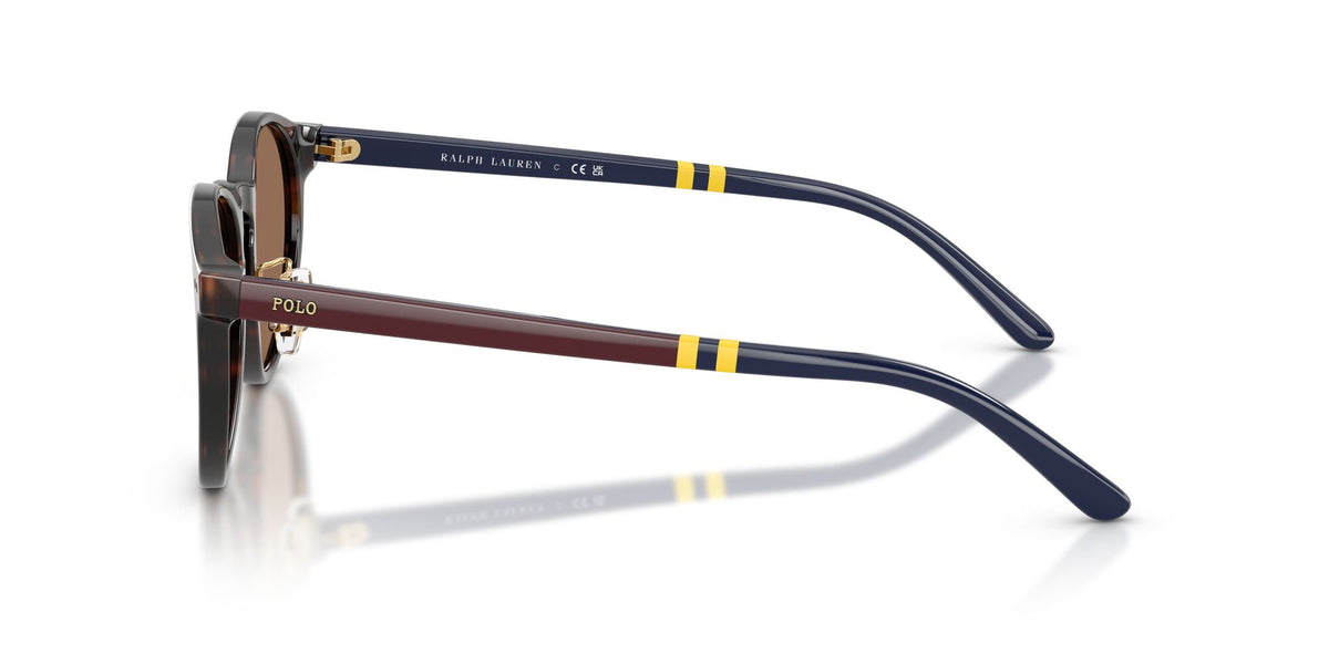Polo Ralph Lauren 0PH4236F 500373 50 Shiny Dark Havana/ Brown