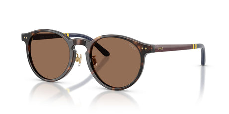 Polo Ralph Lauren 0PH4236F 500373 50 Shiny Dark Havana/ Brown