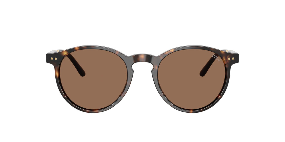 Polo Ralph Lauren 0PH4236 500373 50 Shiny Dark Havana/ Brown
