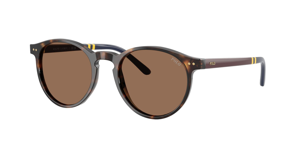 Polo Ralph Lauren 0PH4236 500373 50 Shiny Dark Havana/ Brown