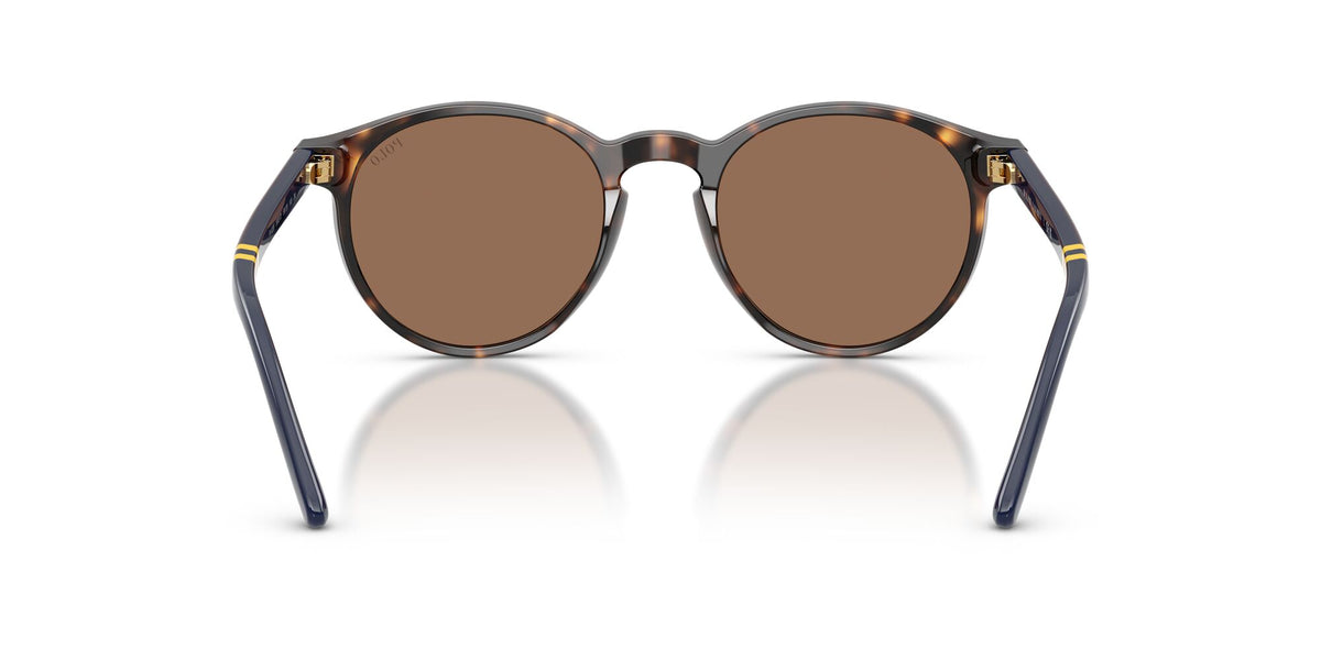 Polo Ralph Lauren 0PH4236 500373 50 Shiny Dark Havana/ Brown