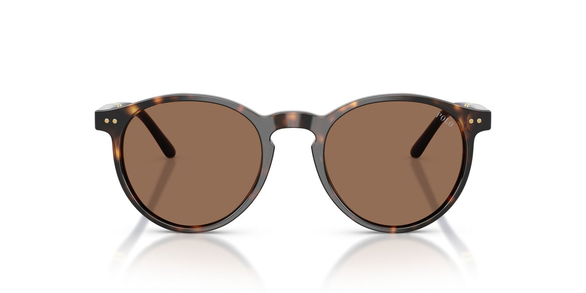 Polo Ralph Lauren 0PH4236 500373 50 Shiny Dark Havana/ Brown