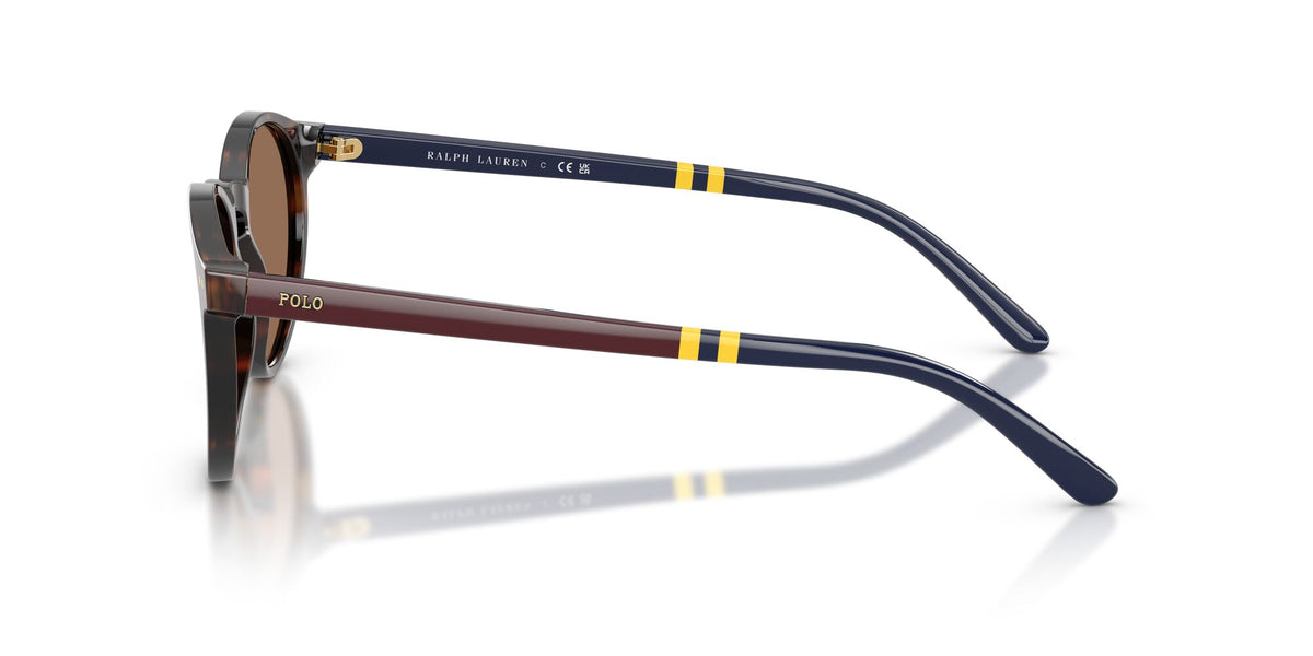 Polo Ralph Lauren 0PH4236 500373 50 Shiny Dark Havana/ Brown