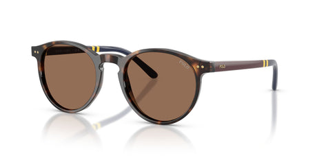 Polo Ralph Lauren 0PH4236 500373 50 Shiny Dark Havana/ Brown
