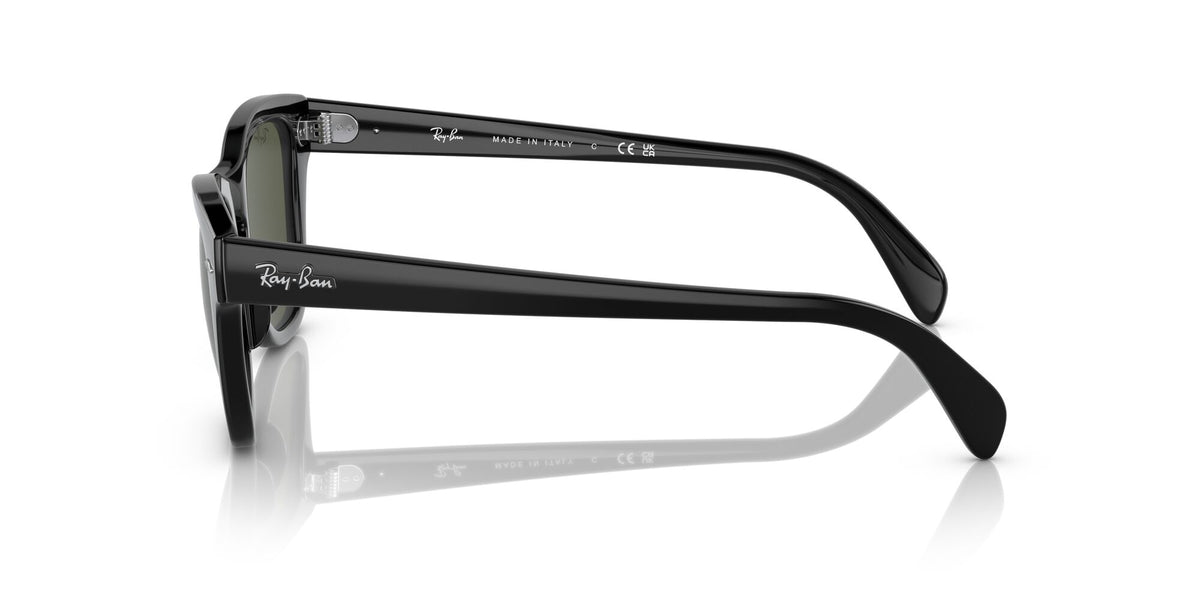 Ray-Ban0RB0707SF 901/31 53 Black/ Green