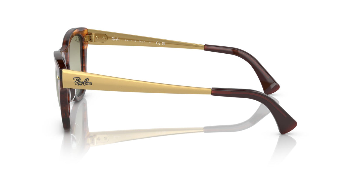 Ray-Ban0RB0707SM 954/G4 53 Striped Havana/ Green 53 / Crystal / Propionate / Aluminium