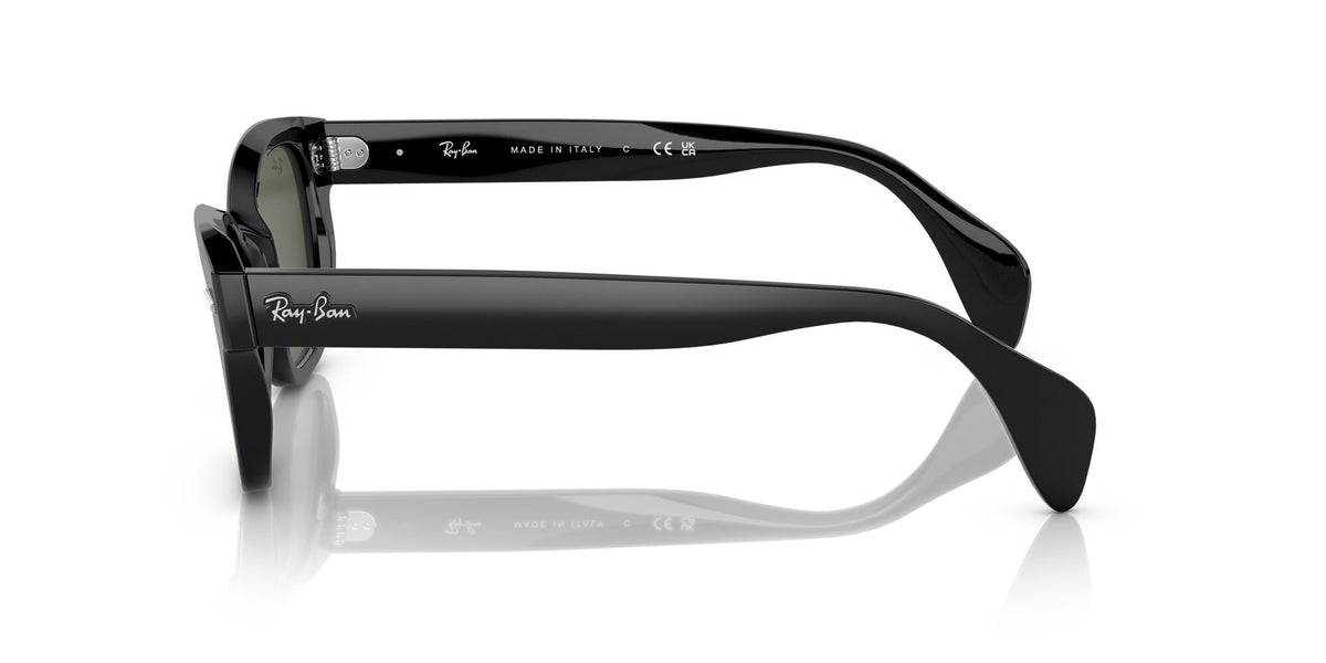 Ray-Ban0RB0880SF 901/31 53 Black/ Green