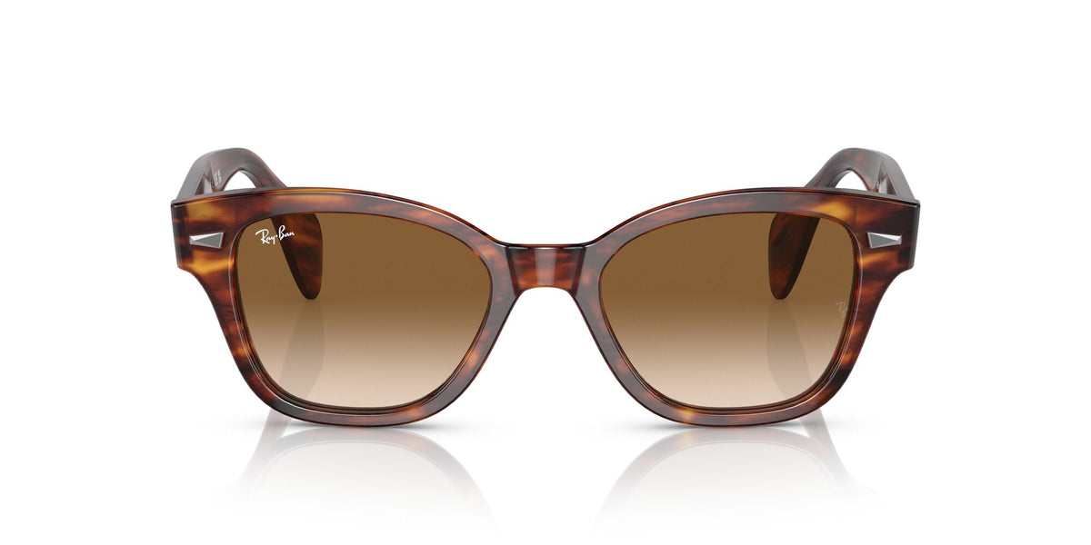 Ray-Ban0RB0880SF 954/51 53 Striped Havana/ Brown