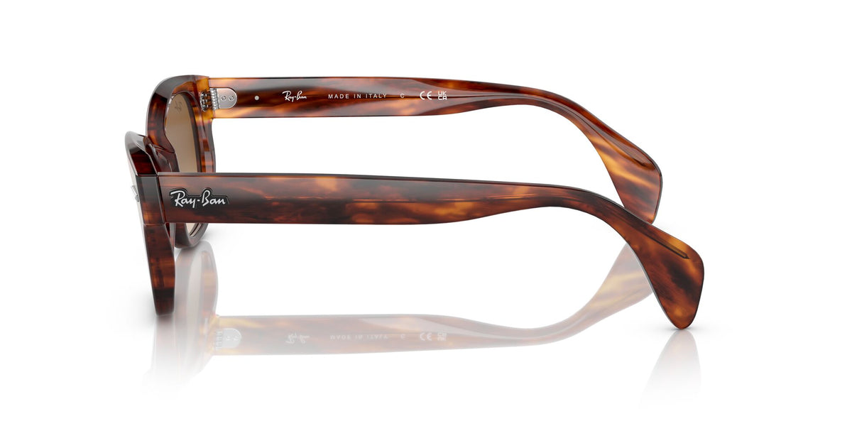 Ray-Ban0RB0880SF 954/51 53 Striped Havana/ Brown