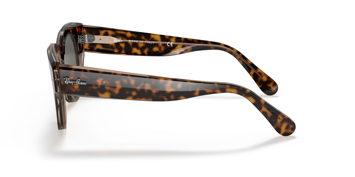 Ray-Ban 0RB21921292B147 Havana On Transparent Brown /Dark Grey